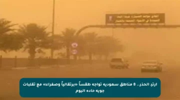 ارتدِ الحذر.. 8 مناطق سعودية تواجه طقساً «برتقالياً وصفراء» مع تقلبات جوية حادة اليوم